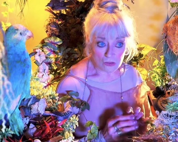 STRANGE BIRD short movie by Rocky Schenk